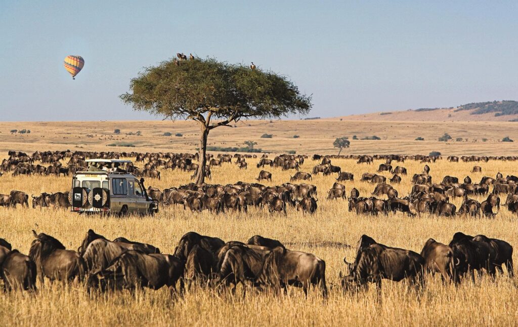 Masai Mara National Reserve