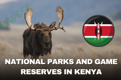 National Parks and Game Reserves in Kenya