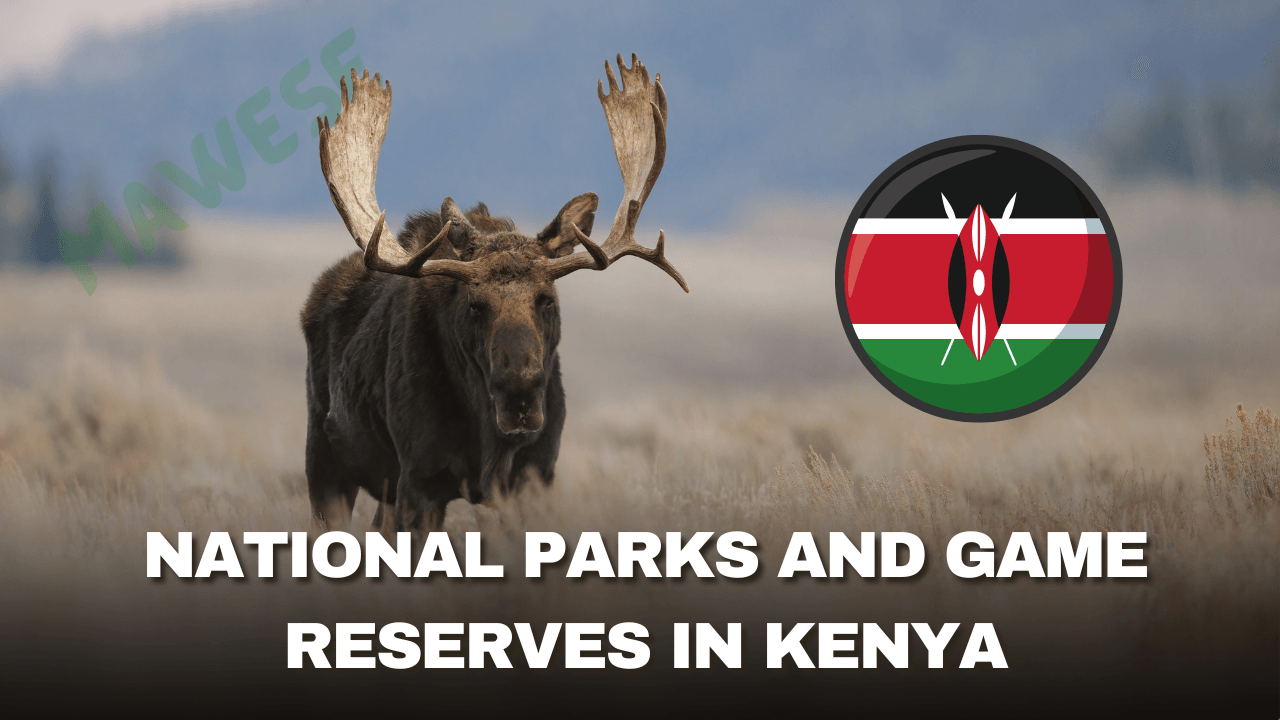 National Parks and Game Reserves in Kenya