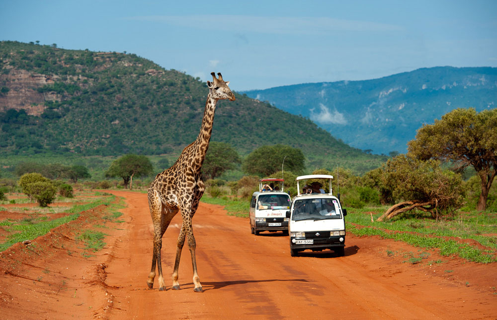 Tsavo East National Parks