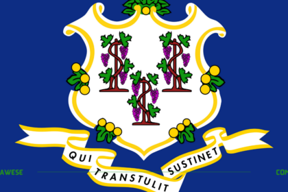 Connecticut flag