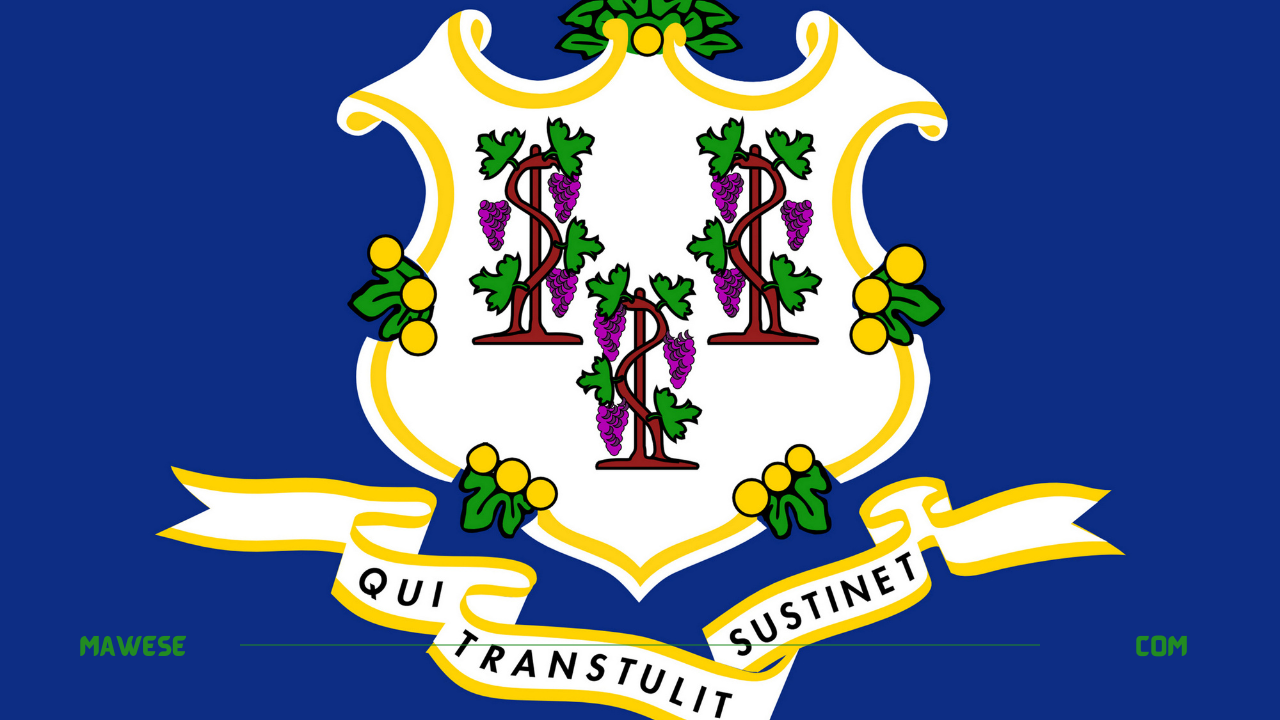 Connecticut flag