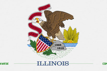 Illinois Flag