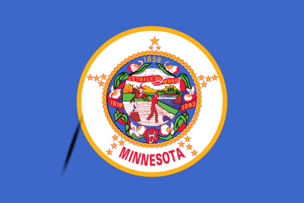 Minnesota Flag
