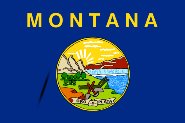 Montana flag