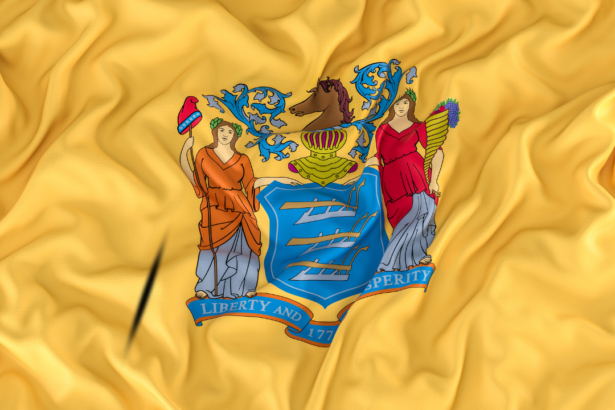 New Jersey flag