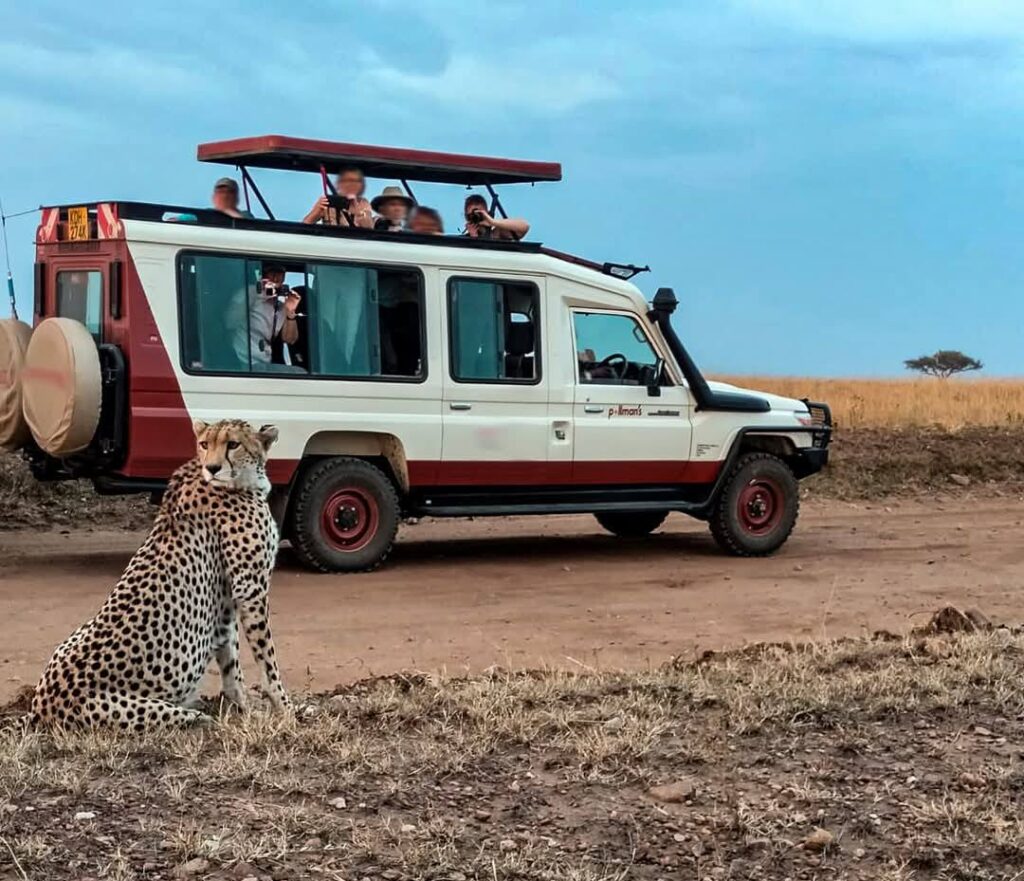 Pollman’s Tours & Safaris Ltd