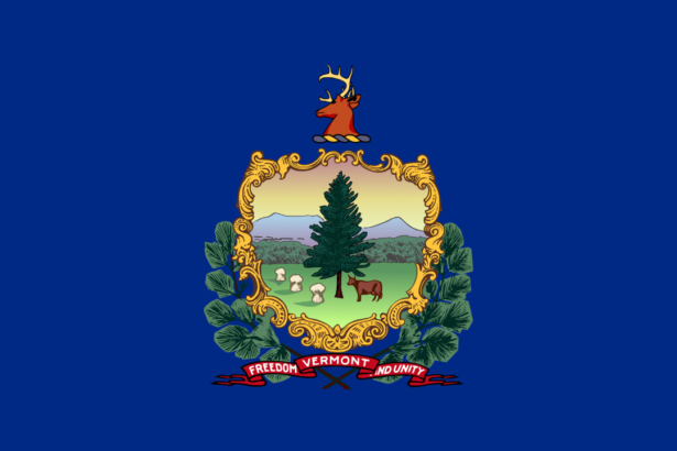 Vermont flag