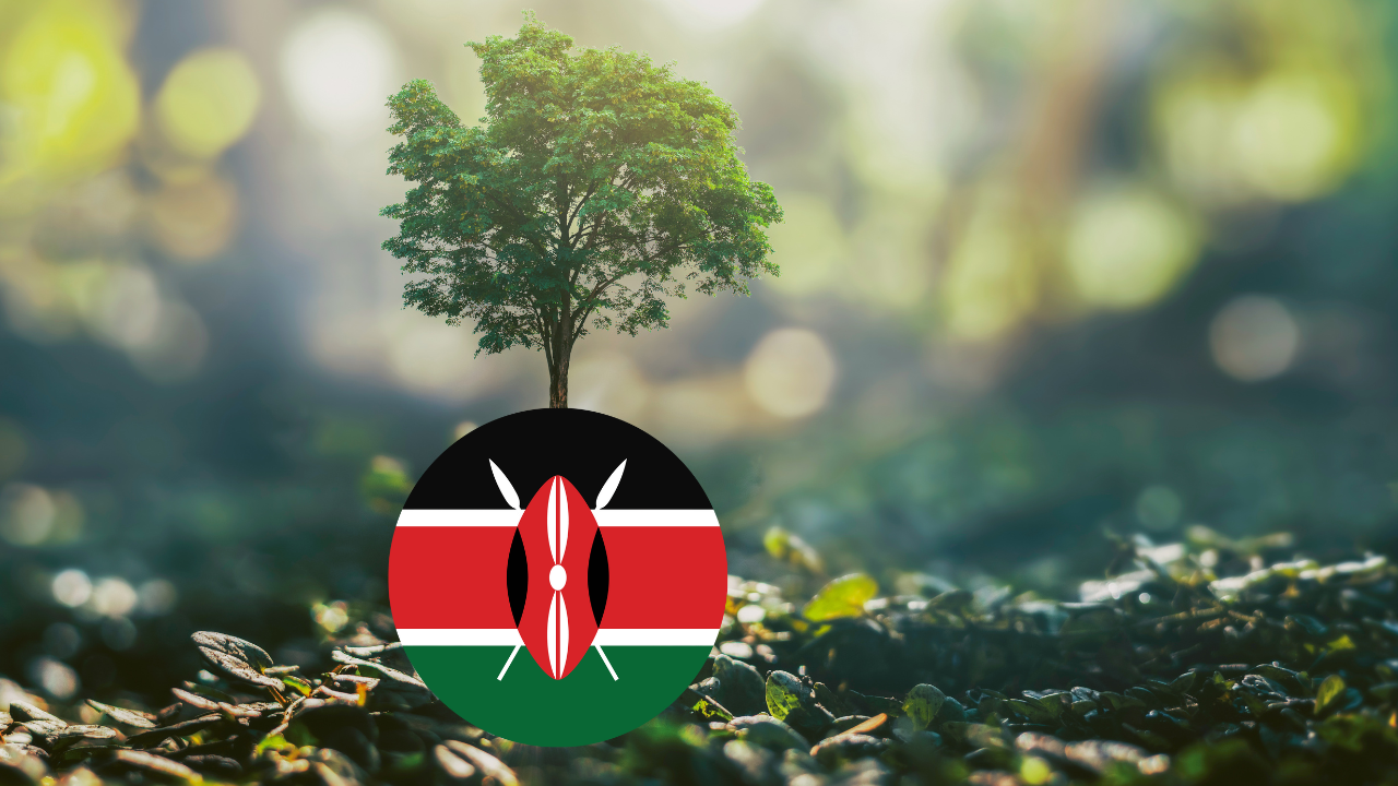 natural resources in kenya